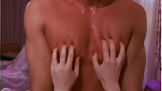 حدودها: ديك كبيرة يملأ الحمار باولا سكس مترجم بالمال هارد مع نائب الرئيس الحلو على PornHD
